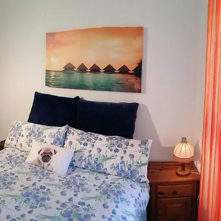 Apart. En A 150m. De La Playa