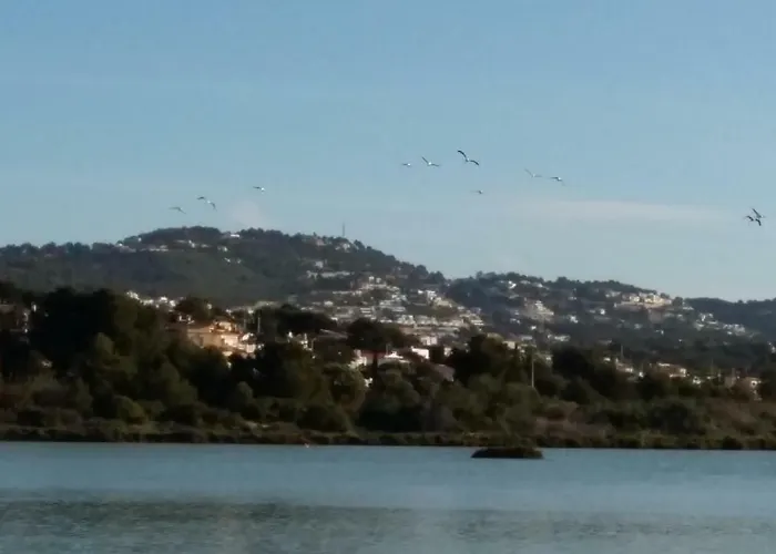 Apart. En A 150m. De La Playa Apartment *